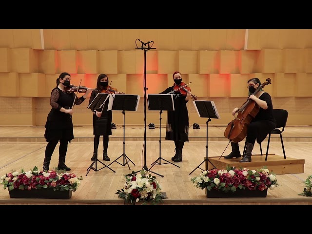 Metallica - Master of Puppets (string quartet cover)