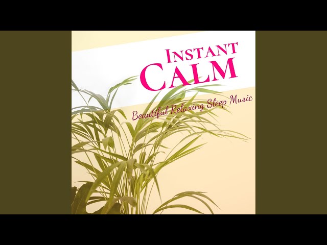 Instant Calm