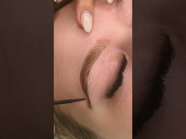 Eyebrow tint with waxing