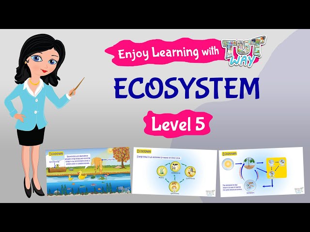 Ecosystem | Science | Grade-4,5 | TutWay |