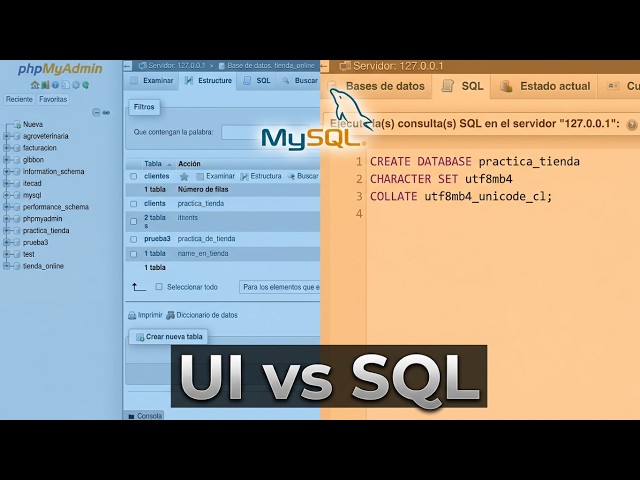 Create your first database, table, and fields with MySQL and phpMyAdmin