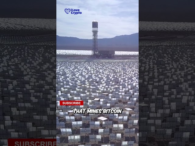 Exploring Russia’s Impressive Cryptocurrency Farms🤫           #cryptonewstoday #shorts