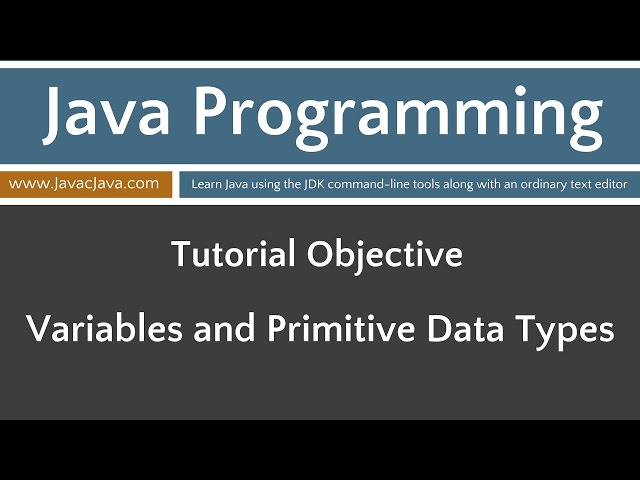 Learn Java Programming - Variables and Primitive Data Types