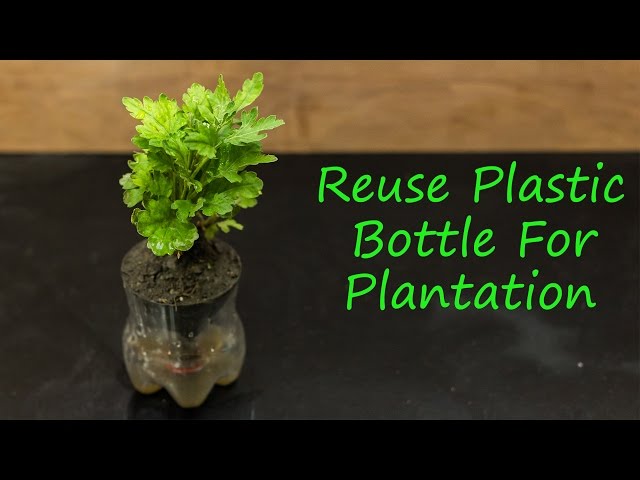 Reuse plastic bottle for plantation