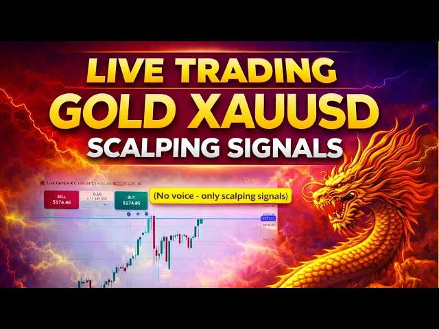 Live trading gold xauusd signals 24 by 7
