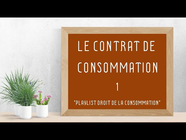 The Consumer Contract: [Consumer Law 1/8]