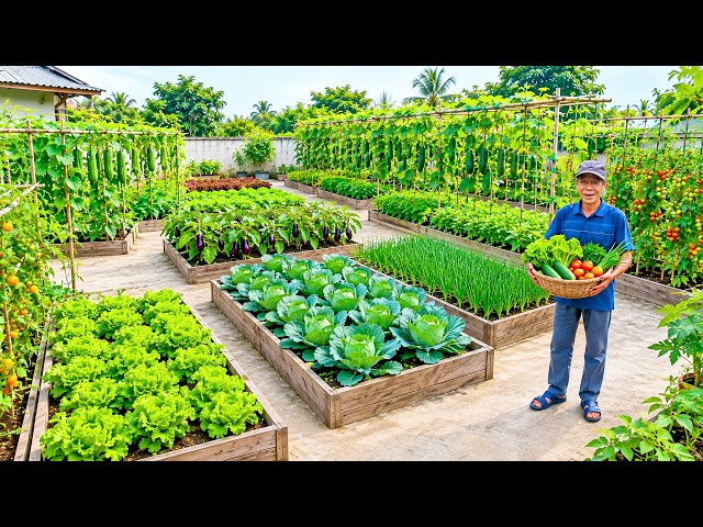 How I Keep My Vegetable Garden Thriving in Hot Weather! | Summer Gardening Tips