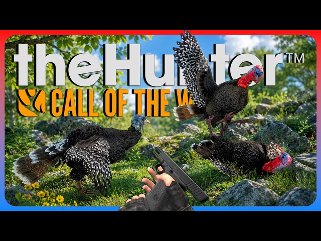 What is the Best Weapon for Killin Turkey??? | theHunter: Call of the Wild