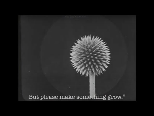 I WILL NOT BE PURIFIED - Sophie Strand + Amanda Palmer + Gracie and Rachel