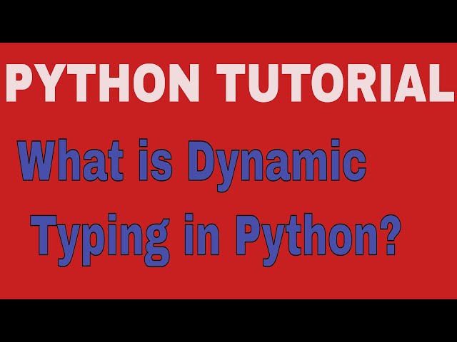 Dynamic Typing in Python | Sumita Arora | Class 11 CBSE | Class XI Computer Science
