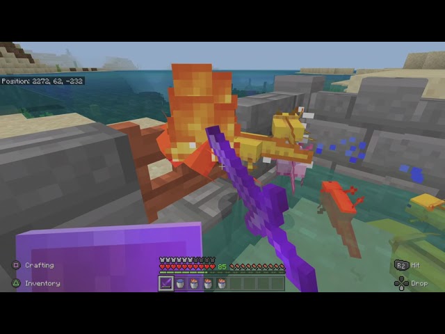 Finally bred blue axolotl