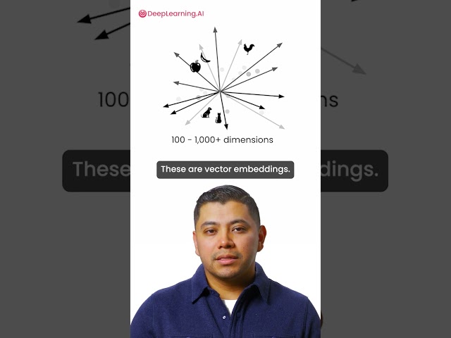 Semantic Search Starts With Embeddings