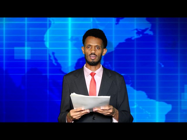 Warka Universal TV 06 10  2026