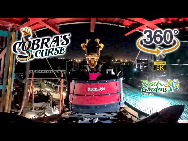 VR 360 5K Cobra's Curse Roller Coaster On Ride POV with Queue Busch Gardens Tampa 2022 01 01