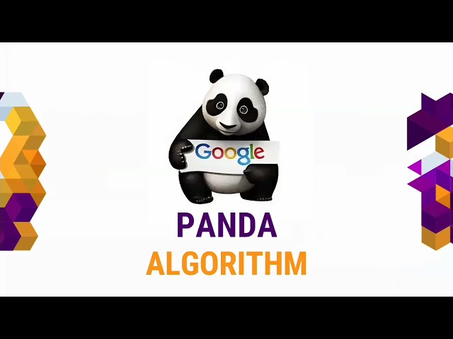 What is Google Panda Algorithm? | Explained by Rajni Prasanna Rahul Kashyap