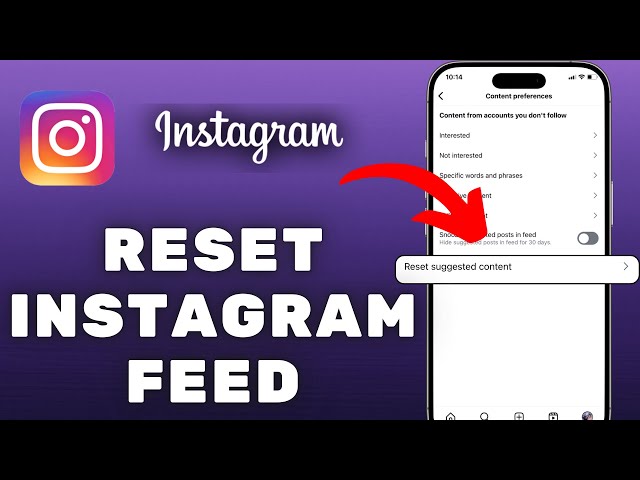 How to Reset Your Instagram Feed | Fix Algorithm & See Better Posts!
