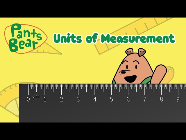 Units of Measurement | Maths for Kids | Educational #PantsBear