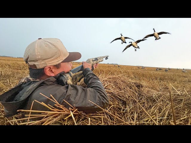 Early GOOSE HUNTING on Opening Day 2025! (CATCH CLEAN COOK)