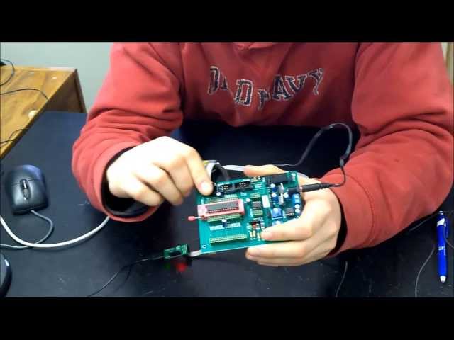BCC Microprocessors Class- How To Use The Development Board