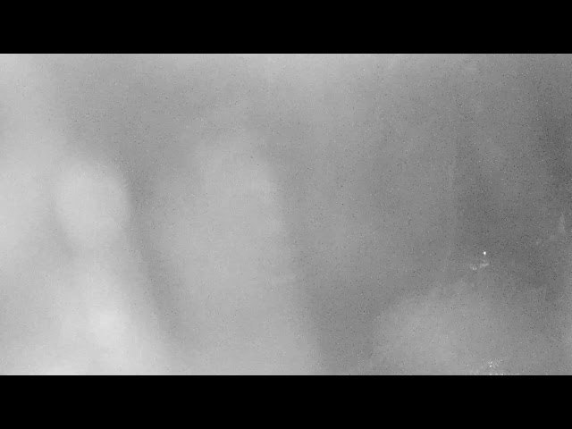 Kohanaiki Web Camera