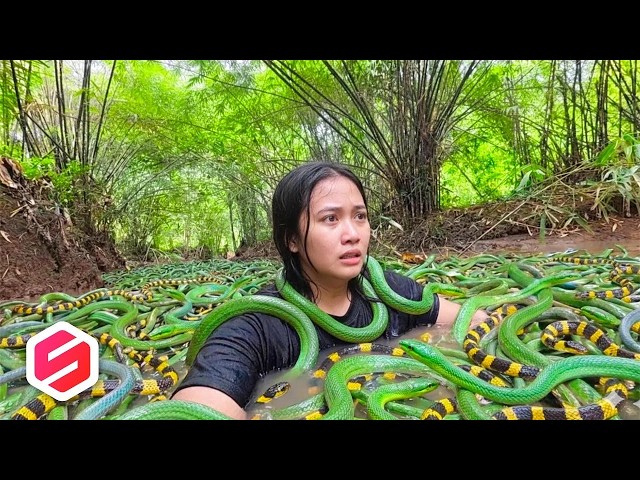 This Island Is Off-Limits—Venomous Snakes at Every Step