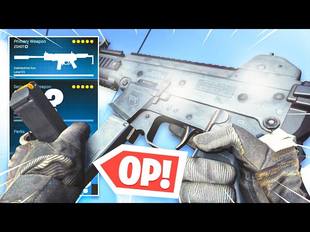 2 SHOT UMP45 CLASS SETUP in WARZONE! TRY THIS NOW! (Modern Warfare Warzone)