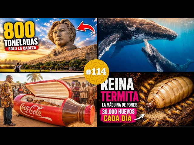 🧠 ¡20 Datos CURIOSOS y cosas que NO sabías hace 5 minutos! 😱#114