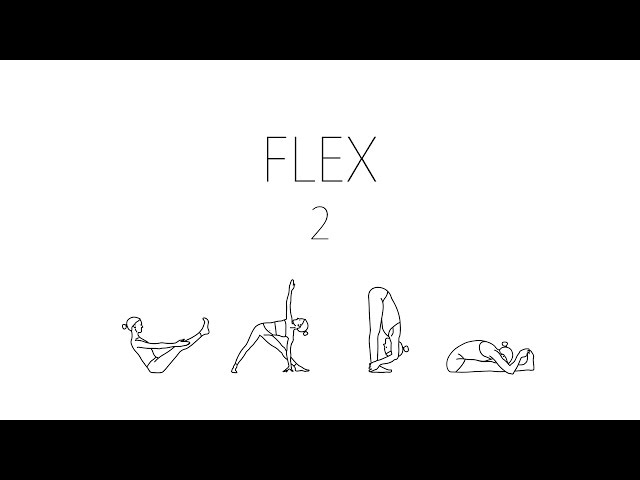 CSS Lesson - Flex 2: Basic