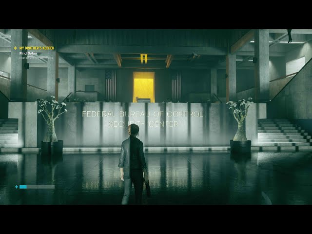 Control 100% Platinum - All Trophies