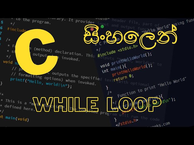 C Programming - 13 ||  While Loop || Sinhala