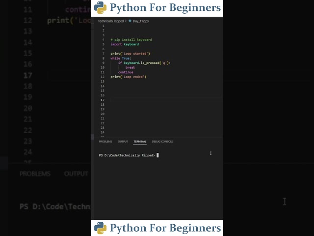 Get Keyboard Inputs With Python | Python For Beginners