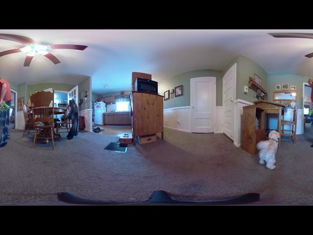 Our Dog Playing with Ball:  GoPro Fusion 360