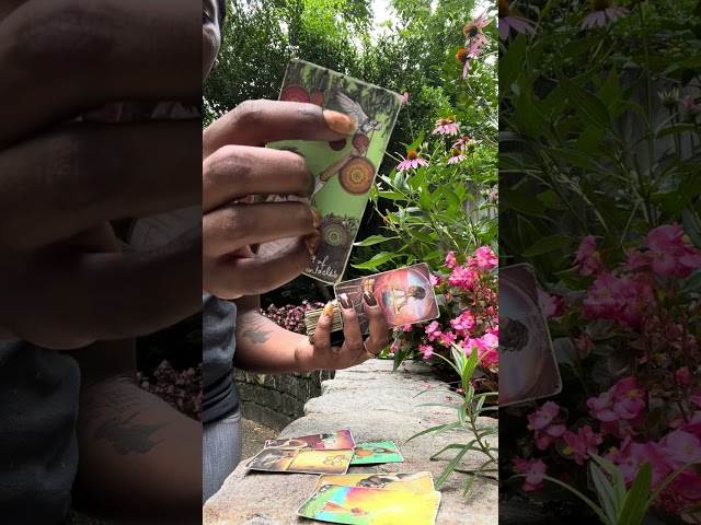 Solid commitment in the making 🪴🌳🌊: No Worries 😌🫵🏾: Daily SUNRISE 🌞 Energy Reading 🧘🏾‍♀️✨💫