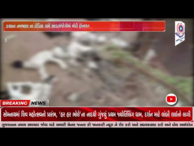 કચ્છના નખત્રાણા ના ટોડિયા ગામે આડાસંજોગોમાં મોટી હોનારત