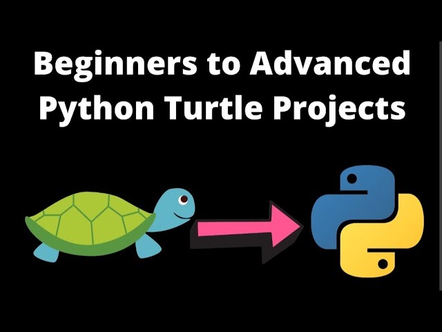 Python Turtle Graphics Project