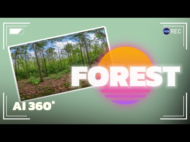 AI FOREST 360°
