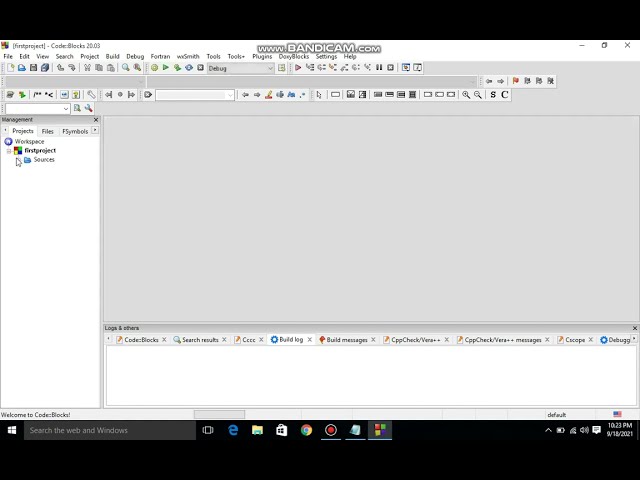 Simple solution to a debugging check in this application has been failed codeblocks