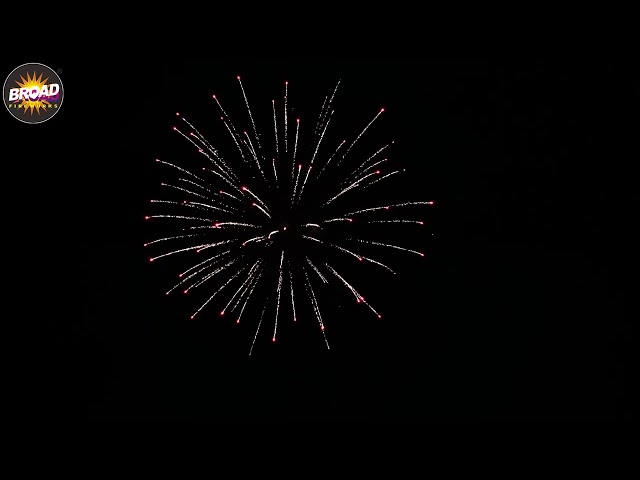 2025 NEW BS2550-1-25 50*57*350MM 25SHOTS STRAIGHT SHAPE F3 CAKE