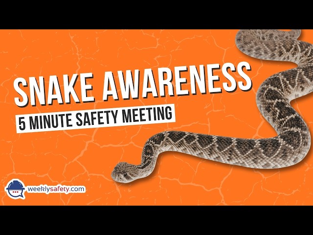 Safety Meeting on Snake Awareness