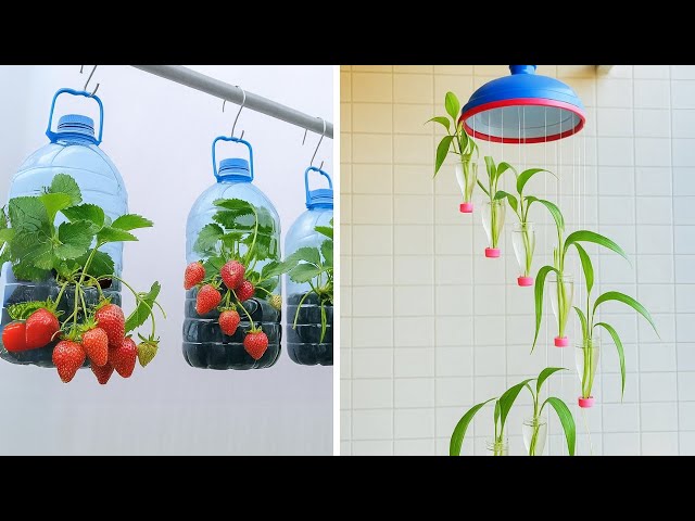 🌸 EASY GARDEN HACKS FOR BEGINNERS! Smart Tips for Healthy Plants 🧠🌿