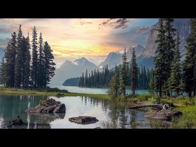 Sun on the Trees, Beautiful Relaxing Music, Peaceful Soothing Instrumental Music, by Tim Janis