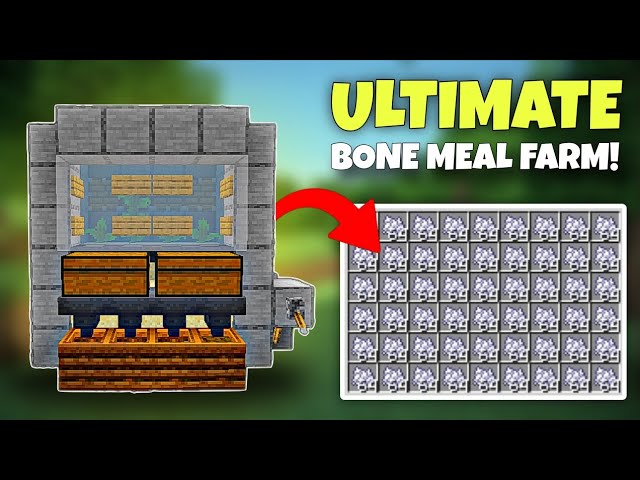 Best Bone Meal Farm in Minecraft 1.21 | Easy Tutorial