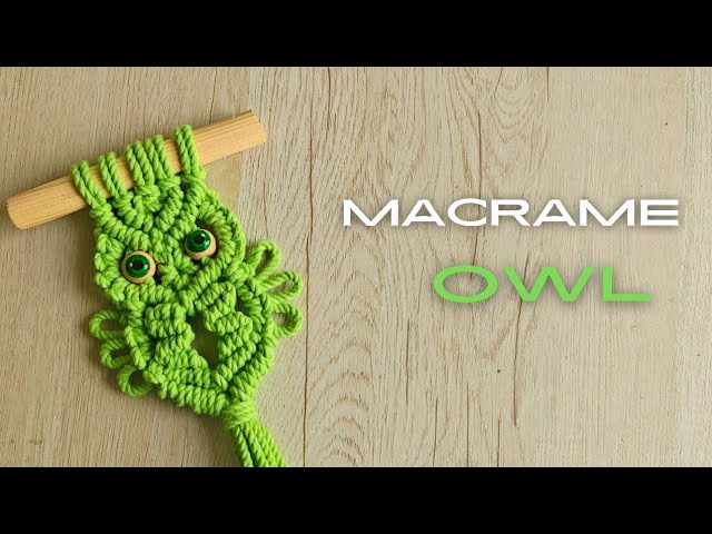 Macrame owl wall hanging tutorial 🦉 #ytshorts #funny #trending