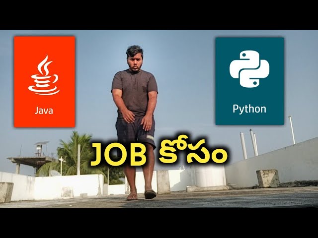 Ah Programing Language Nerchukunte Easy and Pakka Job? Java or Python