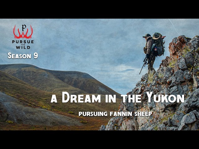 A Dream in the Yukon - Fannin Sheep Hunt