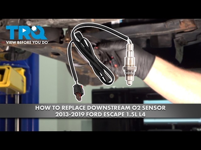 How to Replace Downstream O2 Sensor 2013-2019 Ford Escape 1.5L L4