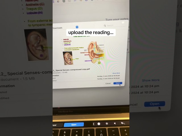 I can't believe this AI study tool exists... it literally have an exam tomorrow! - raena.ai