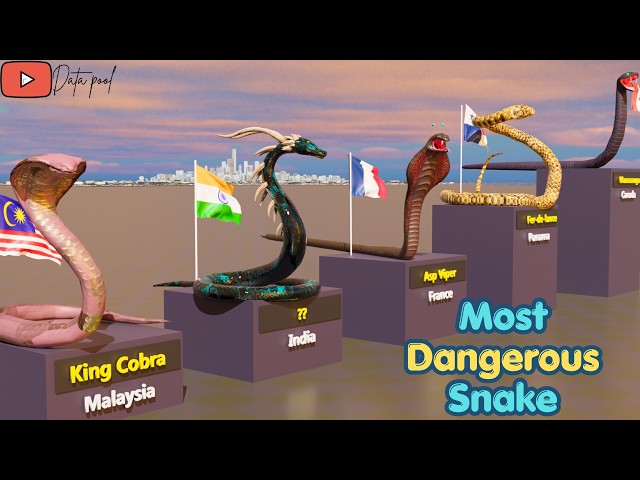 Most Dangerous SNAKE in Every Country