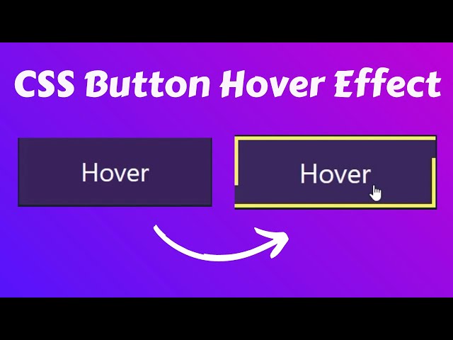 CSS Button Hover Effects | Button Hover Effect CSS | CSS Button Border Animation | Bangla Tutorial
