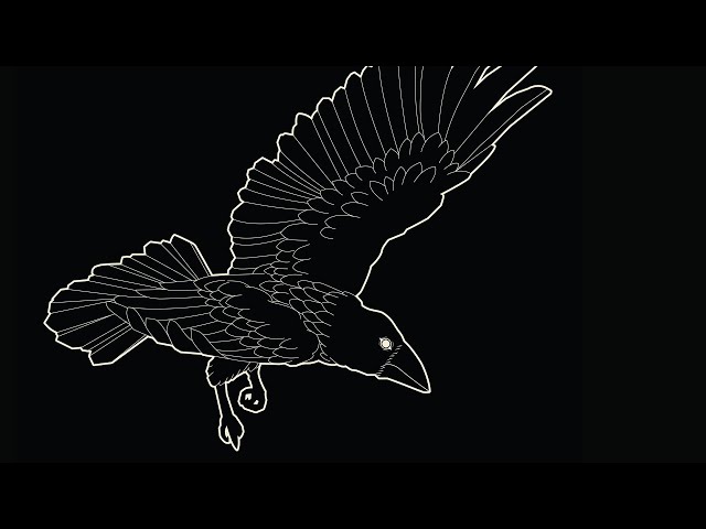 mxrningstar - үүрнээсээ чи (lyric video)